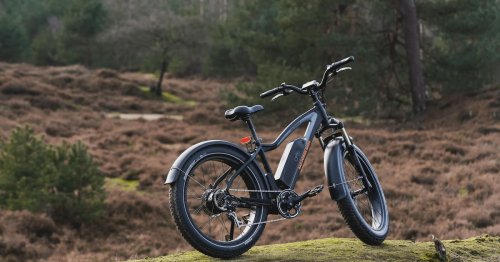 200 Euro gespart: Exotische Fat-E-Bikes und praktische City-E-Bikes günstiger