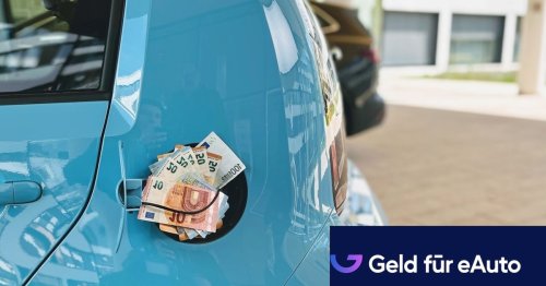 THG-Abwicklung für lau: Dieser Anbieter verlangt keine Provision