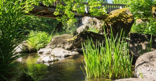 Wasserstoff aus dem Boden holen: Entdeckung in Nordbayern könnte das ermöglichen