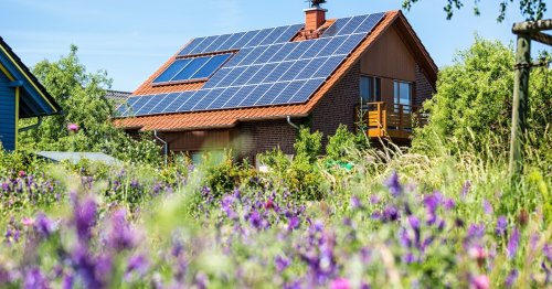 Planung einer Solaranlage: Das sind die wichtigsten Anbieter