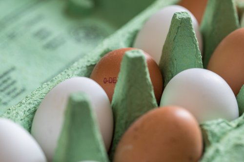 Eier bei ÖKO-TEST: Aldi fällt durch