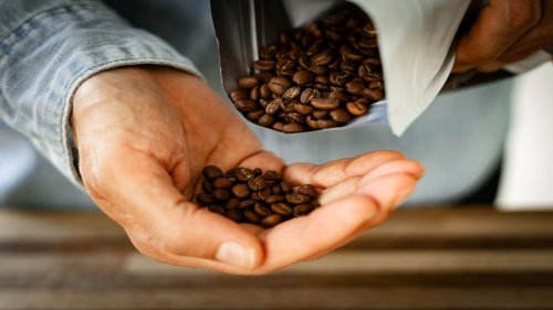 Billig-Bohnen fahren Testsieg ein: Der beste Kaffee laut Stiftung Warentest