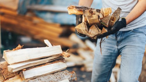 Das Holz mit einer Axt oder Spalthammer zu teilen ist ganz schön anstrengend - und nur für kleinere Arbeiten geeignet. Wer viel und mühelos Holz teilen möchte, holt sich einen Holzspalter. Wir haben interessante Modelle zum Einstiegspreis für Sie herausgesucht.