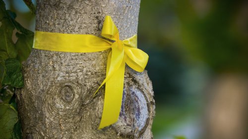 Versteckte Botschaft: Das bedeutet eine gelbe Schleife an Obstbäumen
