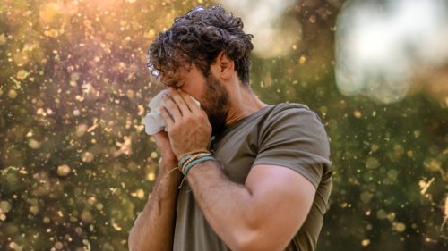 Pollen-Alarm: Mit diesen Maßnahmen bleibt Ihr Zuhause allergiefrei