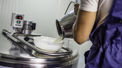 400 Mitarbeiter betroffen: Milch-Riese schließt in Deutschland alle Standorte