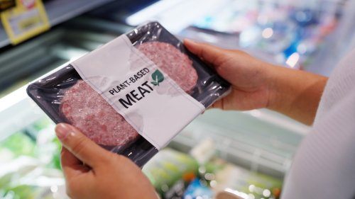Ist vegan wirklich gesünder? Ein Zwillingsexperiment liefert überraschende Antworten