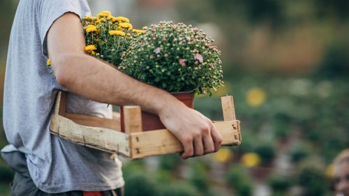 Startklar für die Gartensaison: Tipps für die Arbeit im März