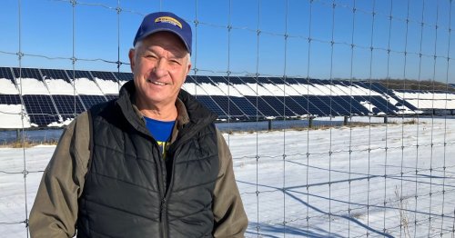 Ertragreiche Ernte: Wie ein Bauer trotz grauem Winter Solarenergie generiert