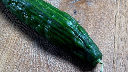 Überraschend nützlich: Warum Sie schrumpelige Gurken niemals wegwerfen sollten