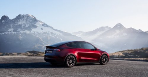 Frau vermietet Wohnung und zieht in den Tesla: Katze und Hund müssen mit