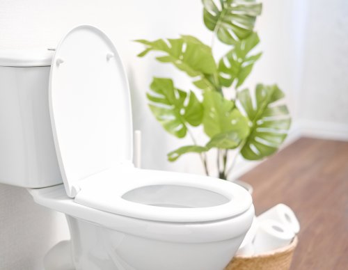 Ungewöhnlich, aber klappt garantiert: Simples Hausmittel reinigt Ihre Toilette