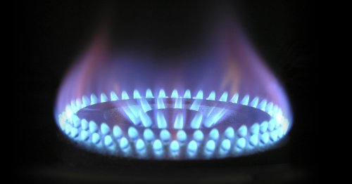 Gasheizung auf Wasserstoff umstellen: Handwerker befürworten neuen Vorstoß