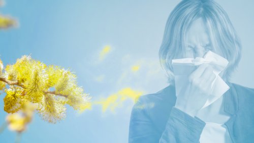 Pollen-Frühwarnsystem vom Deutschen Wetterdienst: Diese Karte sollten Millionen im Blick behalten
