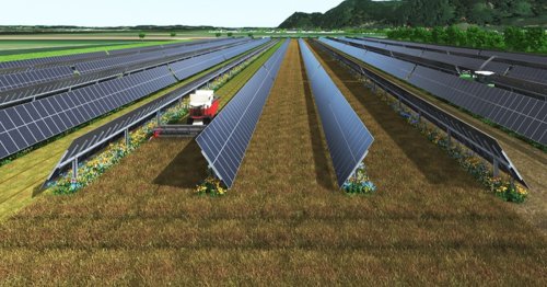 Geniale Solar-Idee: So gut wachsen Pflanzen unter Photovoltaik