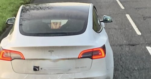 Tesla-Strolch glotzt Pornos beim Fahren: Das Netz lacht über diesen E-Autofahrer