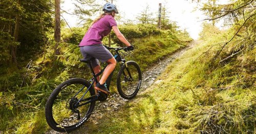 Mit dem E-Bike fit werden im nächsten Jahr: Sport-Professor erklärt, ob das geht