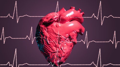 Wissenschaft beweist: Dieses Lebensmittel steigert die Gehirnfunktion und schützt Herzblutfette
