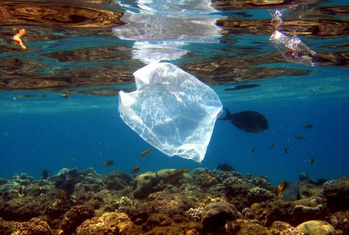 Verkauf von Mikroplastik in der EU bald verboten