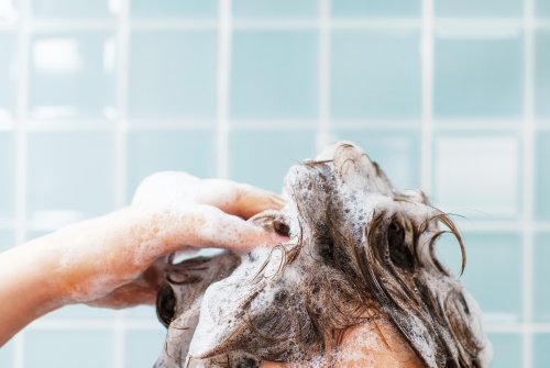 Testsieger bei Stiftung Warentest: Günstiges Shampoo ganz vorne