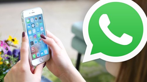 Bei vielen WhatsApp-Nutzern dürfte das Messenger-Logo auf dem Smartphone künftig eine etwas andere Farbe erhalten. Der Grund: Mit Android 13 kommen die sogenannten "Themed Icons" auf Ihr Handy. Was genau dahintersteckt, lesen Sie hier.