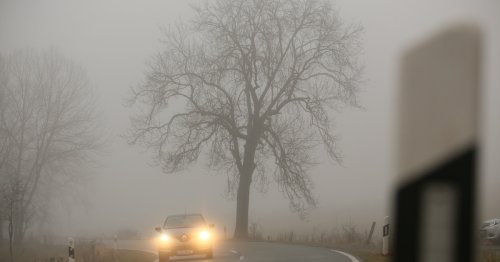 Fahren im Nebel: Tempolimits, Scheinwerfer, Bußgelder, Fahrverbot