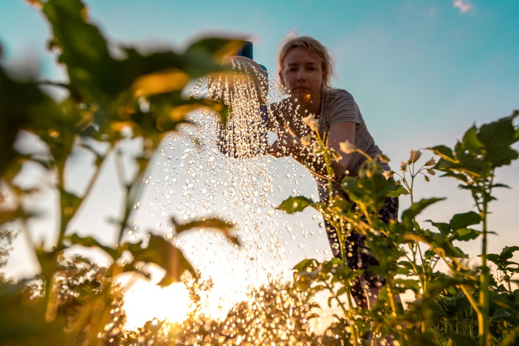 Garten - cover