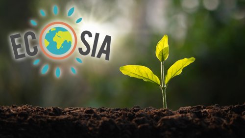 Gutes tun durch Suche im Internet: Kostenlos Bäume Pflanzen mit Ecosia