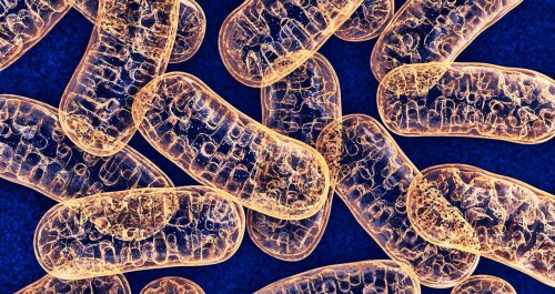Laser therapy for mitochondrial dysfunction