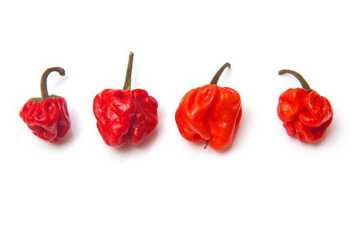 THE 12 MAIN CARIBBEAN SPICES AND THEIR USES