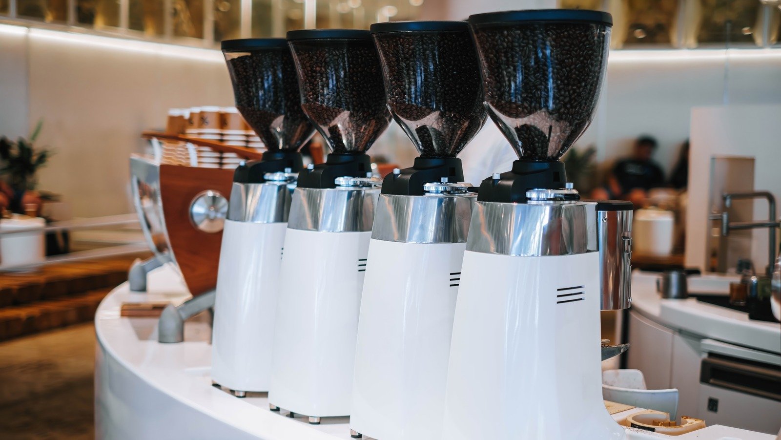 Burr Grinders Are Your Secret Weapon For Full-Bodied Coffee Every Time