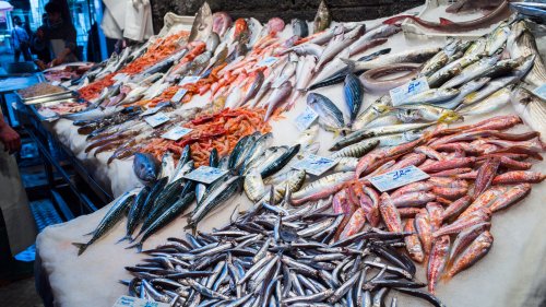 The 12 Best Fish To Cook Whole