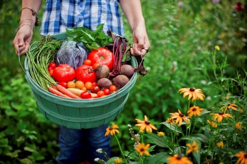 9 Veggies You Can Grow in a Fall Garden & Why It Pays to Be a Late Bloomer