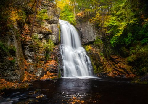 6 Essential Shooting Tips for Fall Photography