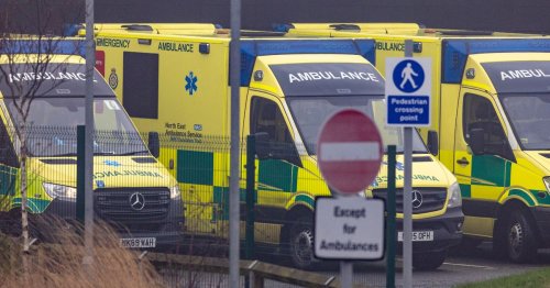 New ambulances 'welcome' say North East leaders as Government warned more staff and Levelling Up are vital