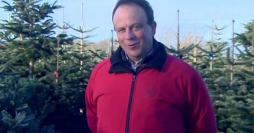 How long do Christmas trees last? Expert reveals tips to make your real one live longer