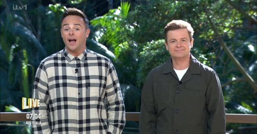 Ant and Dec confirm I'm A Celebrity 'exit' as stars on ITV show totally oblivious