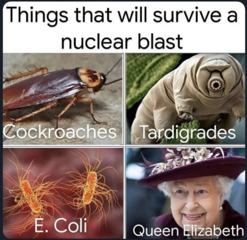 Long Live the Funniest Memes of the Immortal Royal Queen Elizabeth II