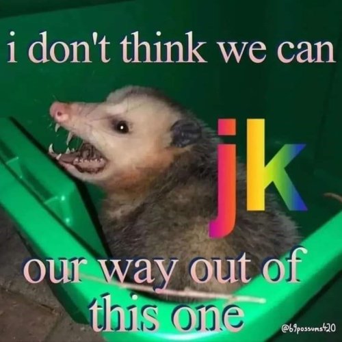 Possum Memes For Trash-Gobbling Biters