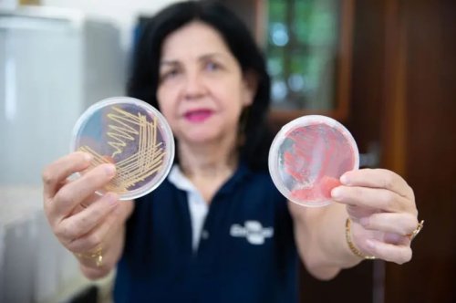 Brasileira vence Nobel da Agricultura por inovação sustentável - CicloVivo