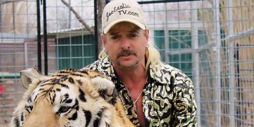 Kate McKinnon's Tiger King Series Has Found Its Joe Exotic - Flipboard