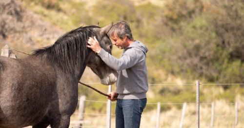 Le dressage de chevaux sauvages au coeur d'un documentaire en Argentine chez Florent Pagny