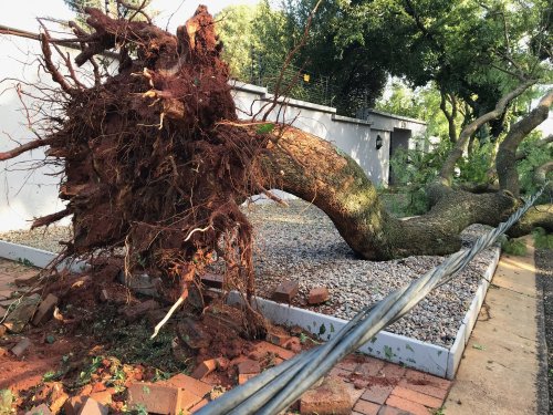 Gauteng storm may have been a tornado, says meteorologist