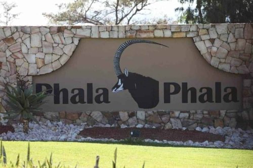 Ramaphosa will not testify in Phala Phala trial – NPA