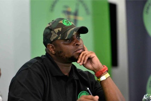 MK party loses in KZN and Joburg by-elections, Shivambu alleges threats and intimidation