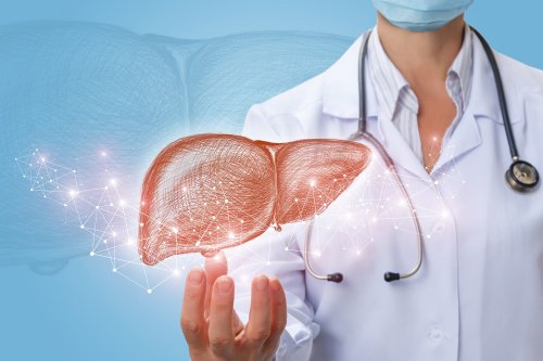 these-are-the-different-types-of-liver-diseases-flipboard