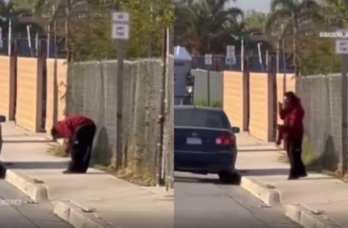 Bad to the bone: Man filmed stealing, eating severed leg – drug expert weighs in [Video]