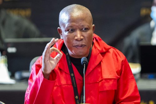 Malema ‘rejects’ Zondo's state capture report findings for attacking 'black quality' | The Citizen