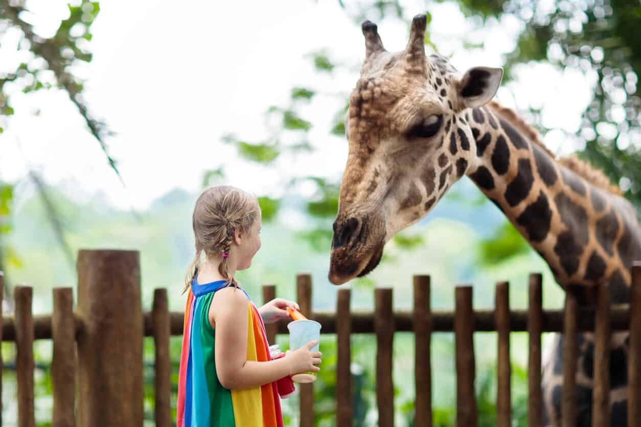 From R44 to R134: What SANParks 2025/26 fees really cost a family of four