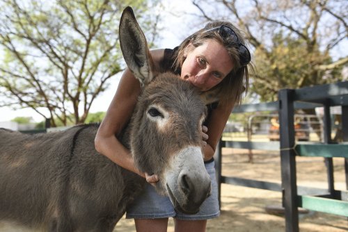Joburg runner tackles first marathon to raise money for donkey sanctuary